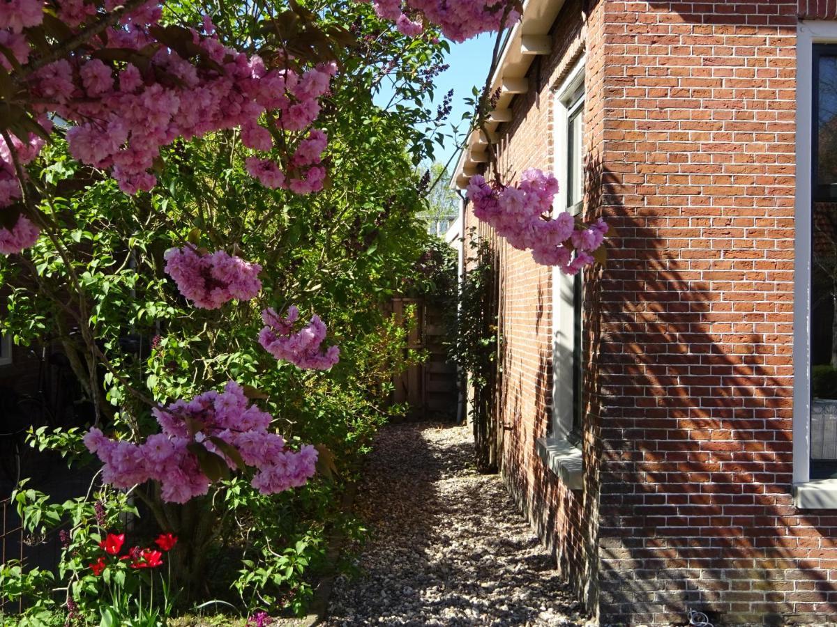 D' Ald Skoalle - Sfeervol In Oude School.